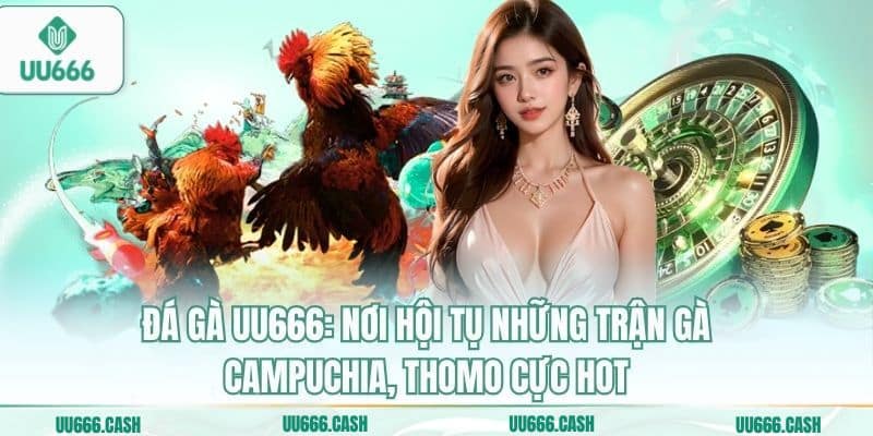 Đá Gà UU666 1 Đá gà UU666: Nơi hội tụ những trận gà Campuchia, Thomo cực hot