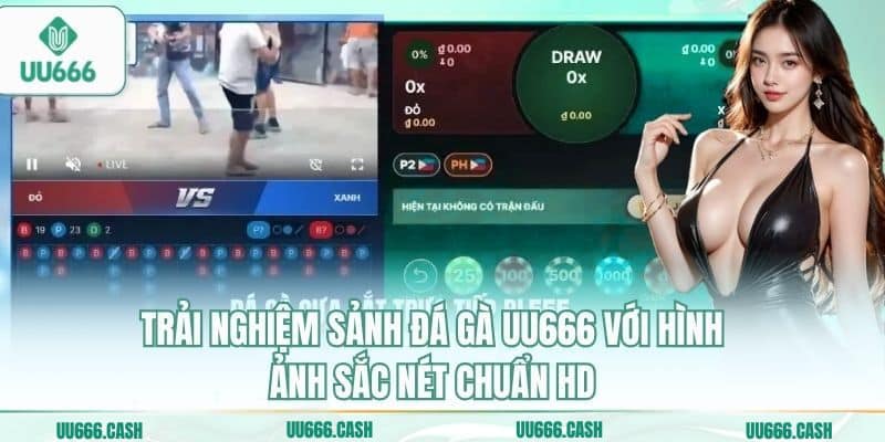 Đá Gà UU666 2 Trải nghiệm sảnh đá gà UU666 với hình ảnh sắc nét chuẩn HD